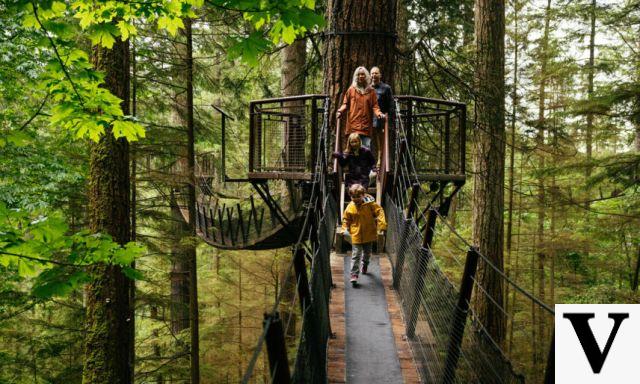 Capilano Suspension Bridge: Adventure Among the Trees